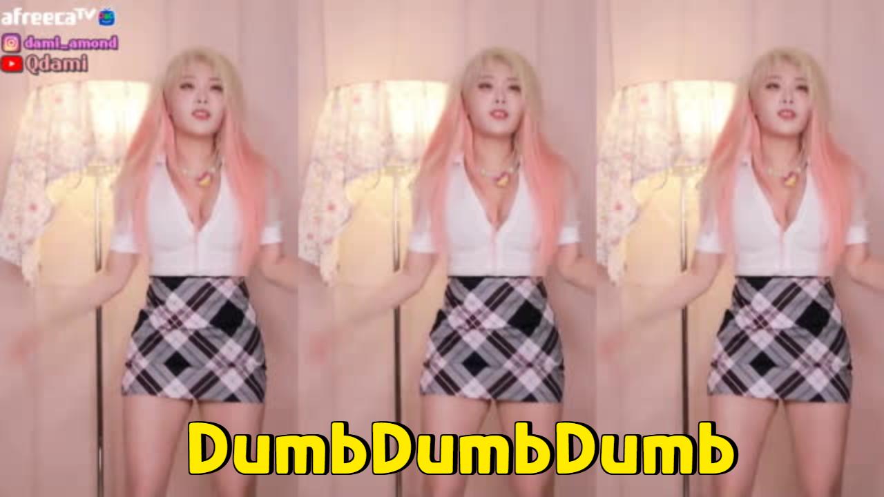 다미 DumbDumbDumb