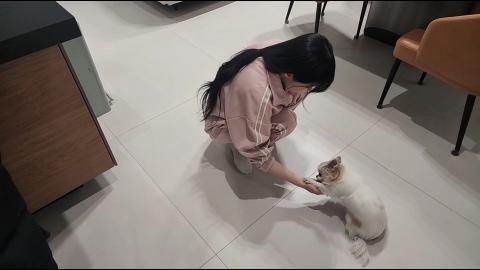 야바 - [클립]임아니 말 잘 듣는 성아