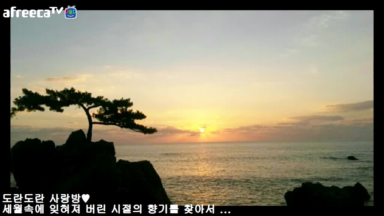 밤의 도란도란 SHOW  