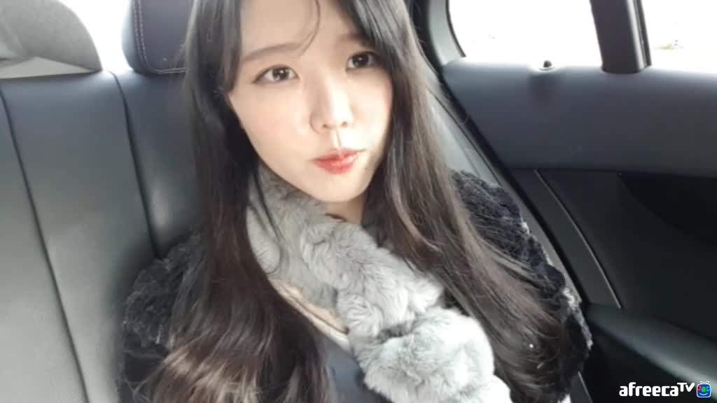 담양 메타세콰이어