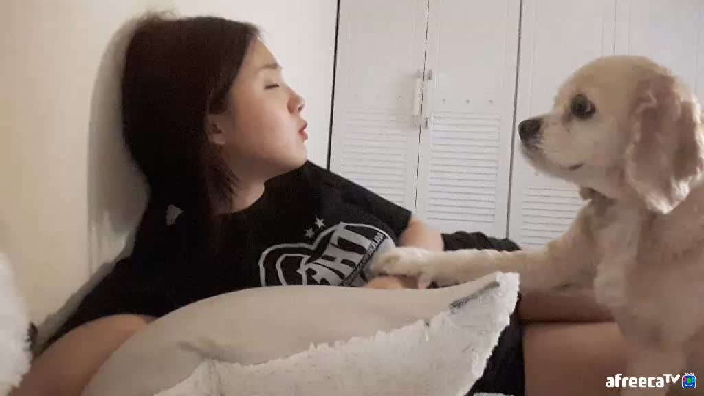 ㅡ ㅠㅡ