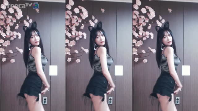 강아지 뭉순이의 수난