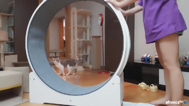 서윤