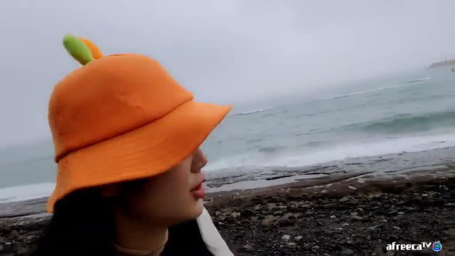 [01/13]엔돌핀 여행[제주2일차 바다다 원앤온리카페 바닷가]