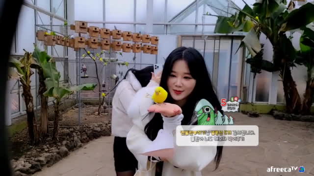 [01/14]엔돌핀 여행[제주3일차 앵무새 먹이주기 바다다 정소다님 나송]