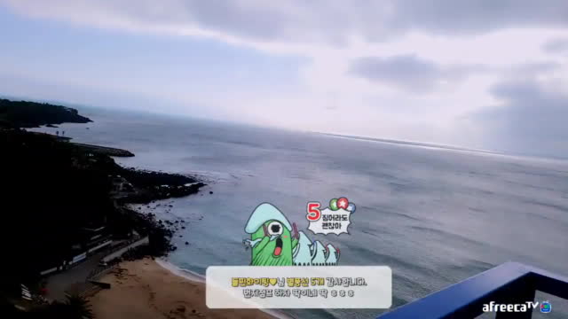 [01/16]엔돌핀 여행[제주5일차 바다바라카페 비타밍 예나 백미]