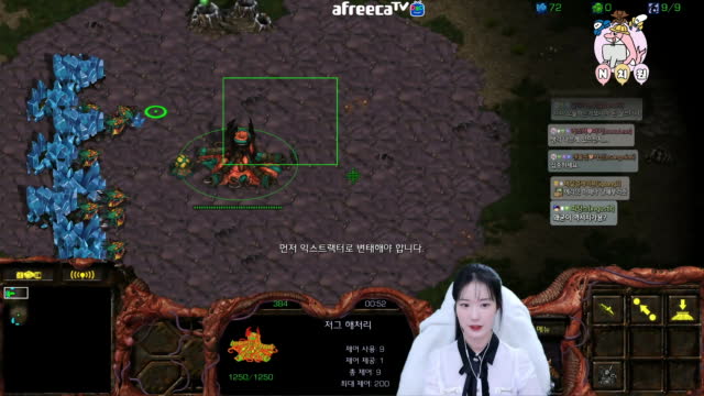 [01/28][엔치원] 경기[엔돌핀(Z) vs 혜로로(Z) 단판] 돌핀원장샘시점