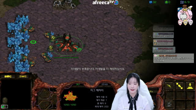 [01/28][엔치원] 경기[엔돌핀(Z) vs 혜로로(T) 단판] 돌핀원장샘시점