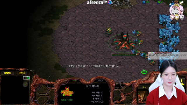 [02/10][엔치원] 경기[엔돌핀(Z) vs 오하얀(P) 단판2경기] 돌핀원장샘시점