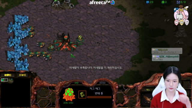 [02/10][엔치원] 경기[엔돌핀(Z) vs 오하얀(P) 단판3경기] 돌핀원장샘시점