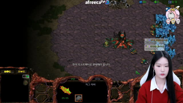 [02/10][엔치원] 경기[엔돌핀(Z) vs 태영(T) 단판] 돌핀원장샘시점