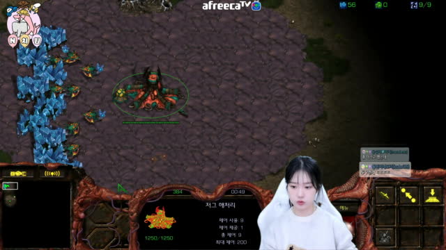 [02/12][구토CK] 경기[엔돌핀(Z) vs 너부리(T) 루저스2세트5경기]