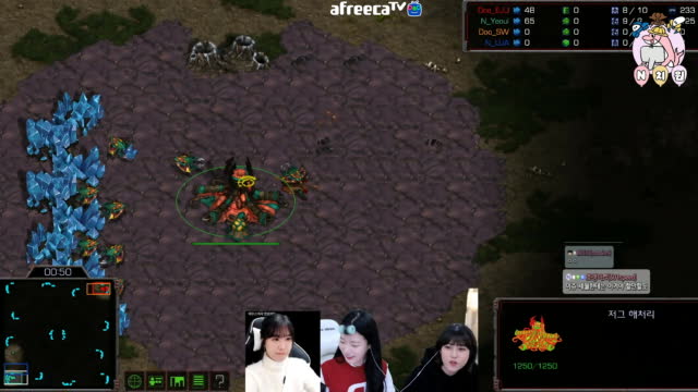 [02/16][엔치원] 경기[중간고사 정여울(Z) vs 짱이쥬(T) 1세트1경기]