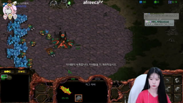 [02/17][엔치원] 경기[엔돌핀(Z) vs 너부리(T) 단판] 돌핀원장샘시점