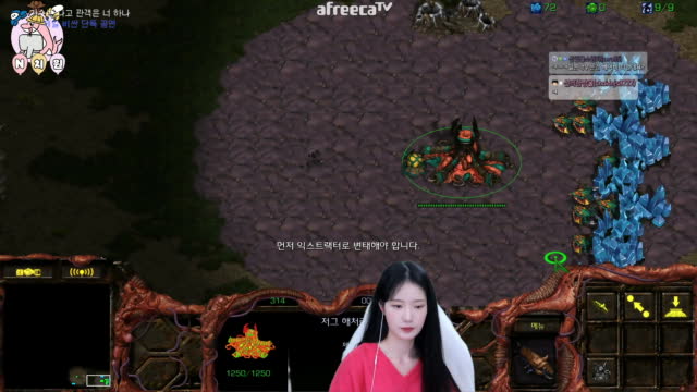 [02/17][엔치원] 경기[엔돌핀(Z) vs 태영(T) 단판] 돌핀원장샘시점