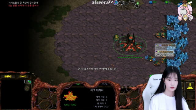 [02/20][엔치원] 경기[엔돌핀(Z) vs 설둥이(P) 단판] 돌핀원장샘시점