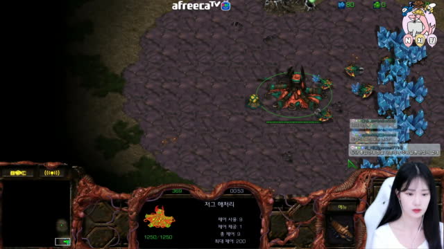 [02/20][엔치원] 경기[엔돌핀(Z) vs 졈니(P) 단판1편] 돌핀원장샘시점