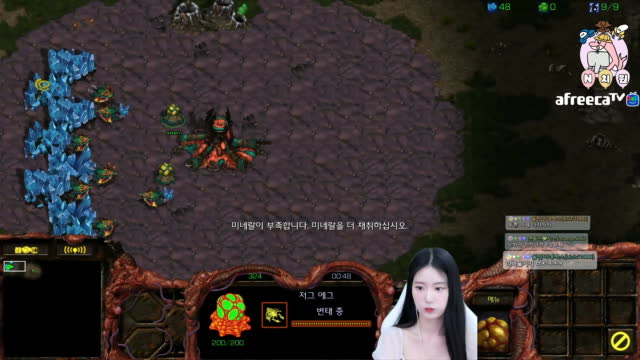 [02/21][7부리그] 경기[엔돌핀(Z) vs 오하얀(P) 1세트4경기] 돌핀원장샘시점