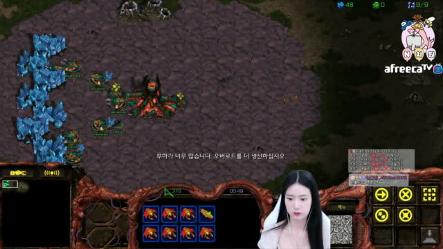 [02/21][7부리그] 경기[엔돌핀(Z) vs 오하얀(P) 2세트1경기] 돌핀원장샘시점