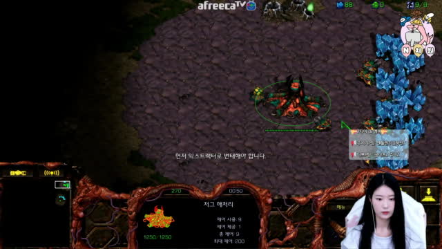 [02/26][7티어CK] 경기[엔돌핀(Z) vs 다쁘(P) 1세트3경기]