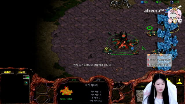 [02/26][7티어CK] 경기[엔돌핀(Z) vs 공다츠(Z) 2세트5경기]
