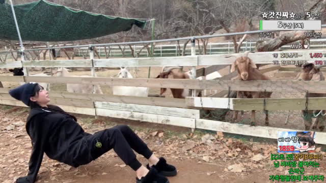 글램핑 불멍하러 가자   파주 팜 랜드 